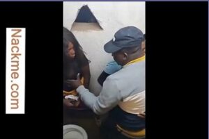 PORN VIDEO: Warota or wa Nyoba (caught nacking in the toilet)